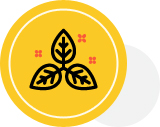 feature_iconn01.jpg